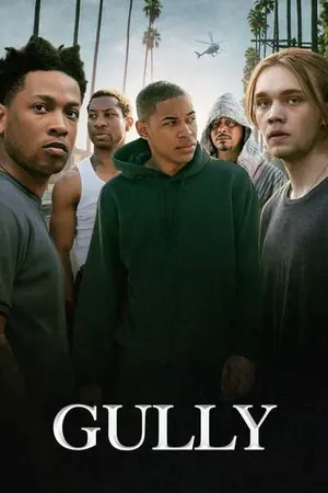 Gully (2019)