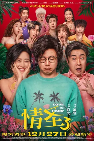 Love is Hard (2025) – Chinese