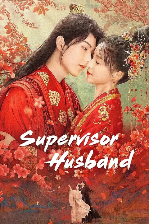 Supervisor Husband Season 1 (Complete) (Chinese Drama) poster