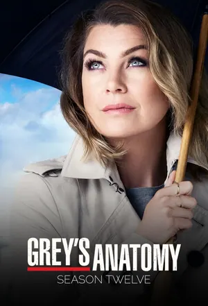 Grey’s Anatomy (2005) Season 12 (Complete)