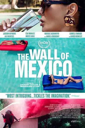 The Wall of Mexico (2020)