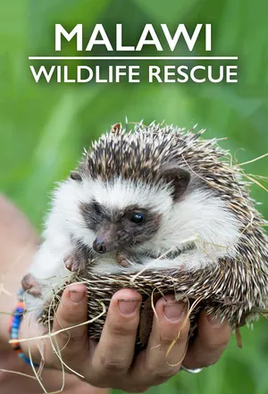 Malawi Wildlife Rescue Season 2 (Complete)