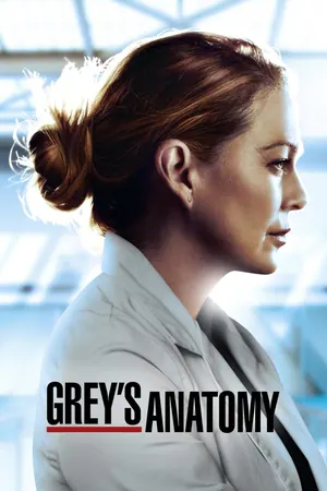 Grey’s Anatomy (2005) Season 1 – 3 (Complete)
