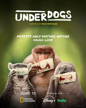 Underdogs Season 1 (Complete)