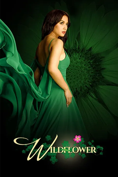 Wildflower Season 1 (Episode 61-90 Added) (Filipino Drama) poster