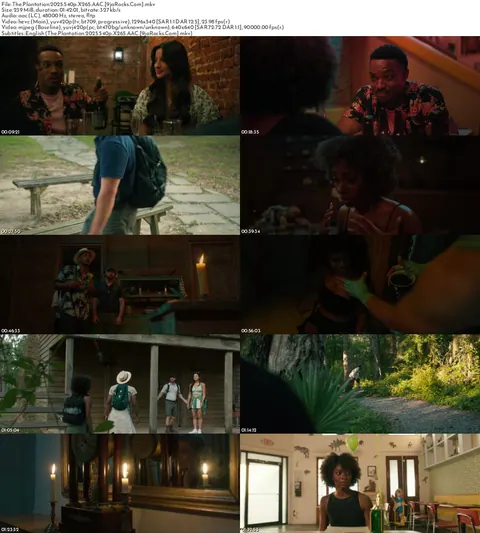 The Plantation (2025) screenshot