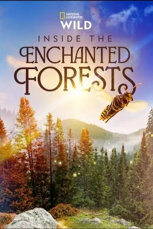 Inside the Enchanted Forests Season 1 (Complete)
