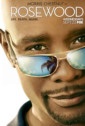 Rosewood Season 1 – 2 (Complete)