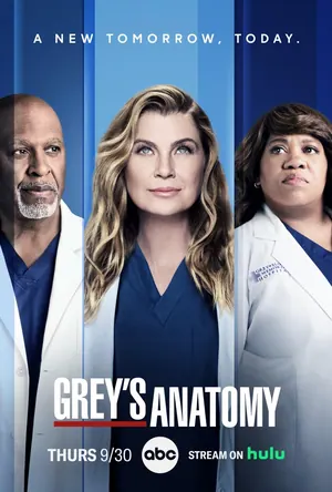 Greys Anatomy Season 22 (Complete)