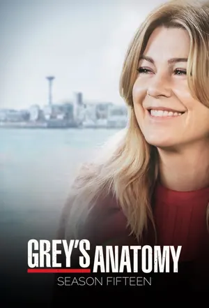 Grey’s Anatomy Season 15 (Complete)